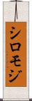 シロモジ Scroll