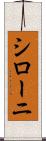 シローニ Scroll
