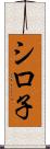 シロ子 Scroll