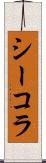 シーコラ Scroll