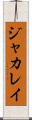 ジャカレイ Scroll