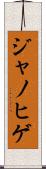 ジャノヒゲ Scroll