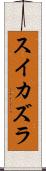 スイカズラ Scroll