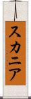 スカニア Scroll