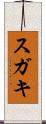 スガキ Scroll