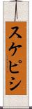 スケピシ Scroll