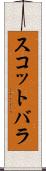 スコットバラ Scroll