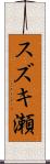 スズキ瀬 Scroll