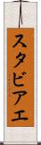 スタビアエ Scroll