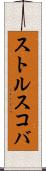 ストルスコバ Scroll