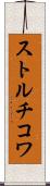 ストルチコワ Scroll