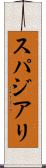 スパジアリ Scroll