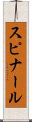 スピナール Scroll