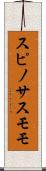 スピノサスモモ Scroll