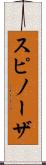 スピノーザ Scroll