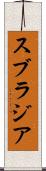 スブラジア Scroll