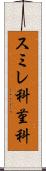 スミレ科 Scroll