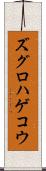 ズグロハゲコウ Scroll