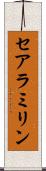 セアラミリン Scroll