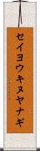セイヨウキヌヤナギ Scroll