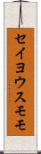 セイヨウスモモ Scroll