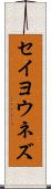 セイヨウネズ Scroll