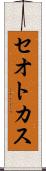 セオトカス Scroll