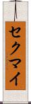 セクマイ Scroll