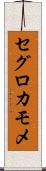 セグロカモメ Scroll