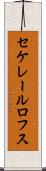 セケレールロフス Scroll