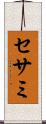 セサミ Scroll