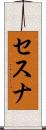 セスナ Scroll