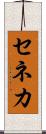セネカ Scroll