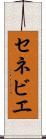 セネビエ Scroll