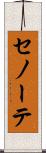 セノーテ Scroll