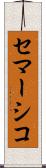 セマーシコ Scroll