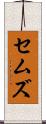 セムズ Scroll