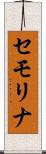 セモリナ Scroll