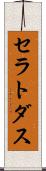 セラトダス Scroll