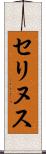 セリヌス Scroll