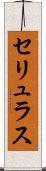 セリュラス Scroll