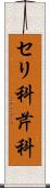 セリ科 Scroll
