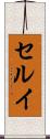 セルイ Scroll
