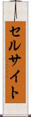 セルサイト Scroll