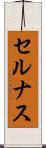 セルナス Scroll