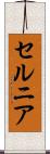 セルニア Scroll
