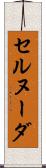セルヌーダ Scroll