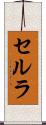 セルラ Scroll