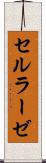 セルラーゼ Scroll