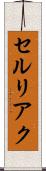 セルリアク Scroll